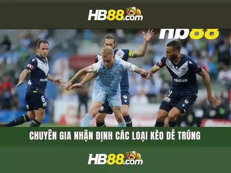 hb88: Đánh giá tổng quan và hướng dẫn tham gia an toàn