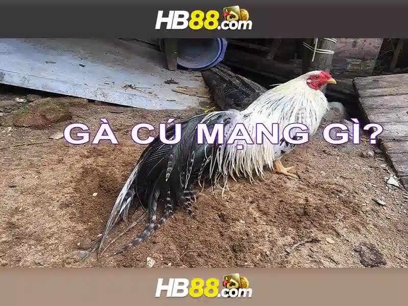 HB88: Nền tảng cá cược trực tuyến đáng tin cậy và những điều bạn cần biết