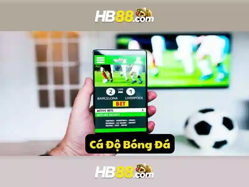https://clustercarat.com/images/text/hb88/hb88-text260312750.webp