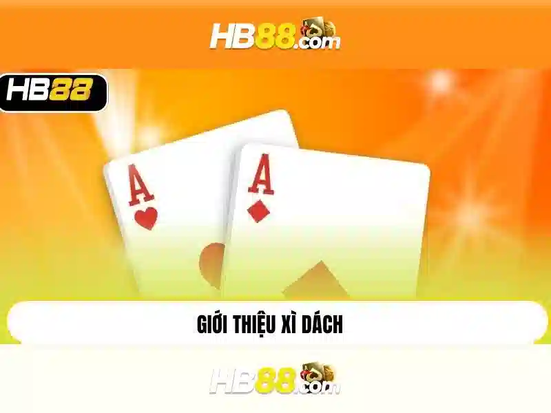 https://clustercarat.com/images/text/hb88/hb88-text2603301679.webp