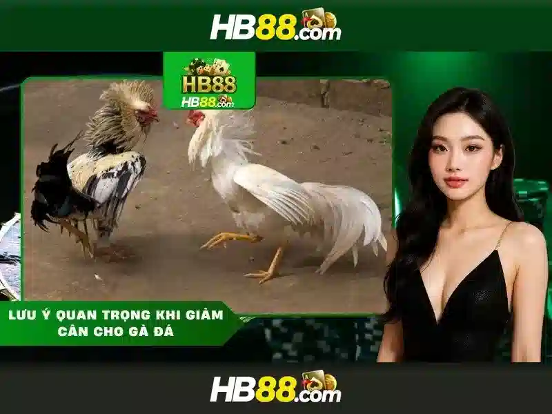 hb88: Nền tảng cá cược trực tuyến và những điểm cần biết