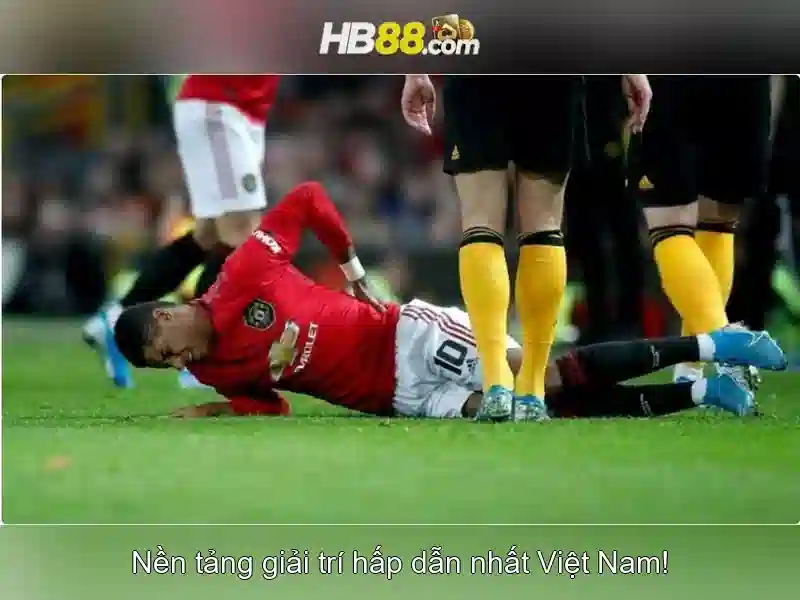 HB88 - Tổng quan về nền tảng cá cược trực tuyến