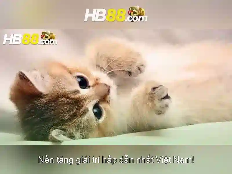 https://clustercarat.com/images/text/hb88/hb88-text2603312409.webp
