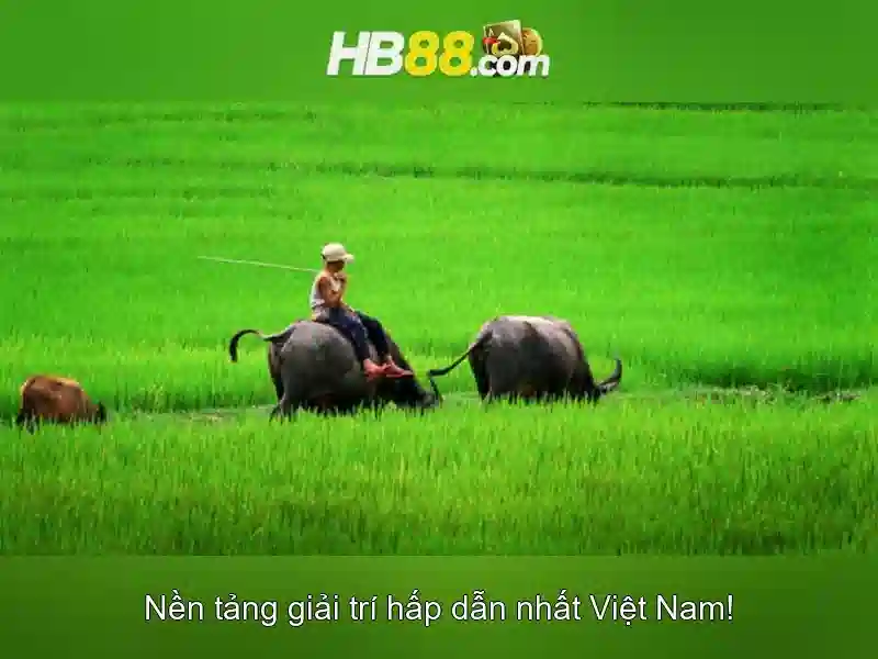 https://clustercarat.com/images/text/hb88/hb88-text2603312413.webp