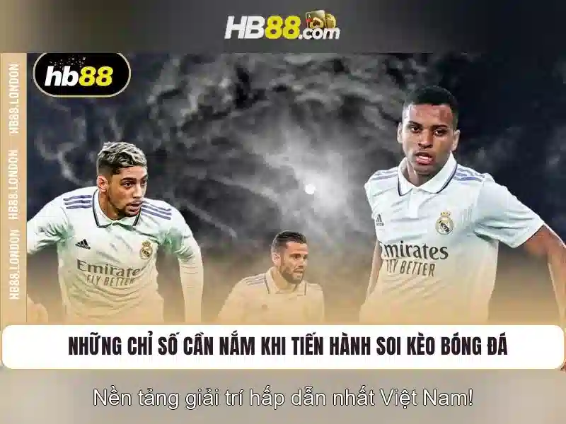 HB88: Cổng cá cược trực tuyến an toàn và tiện ích