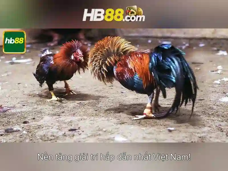 hb88 game: Tổng quan, trải nghiệm và đánh giá