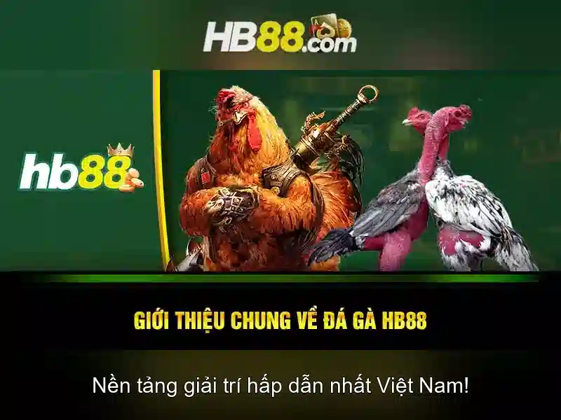 https://clustercarat.com/images/text/hb88/hb88-text260331486.webp
