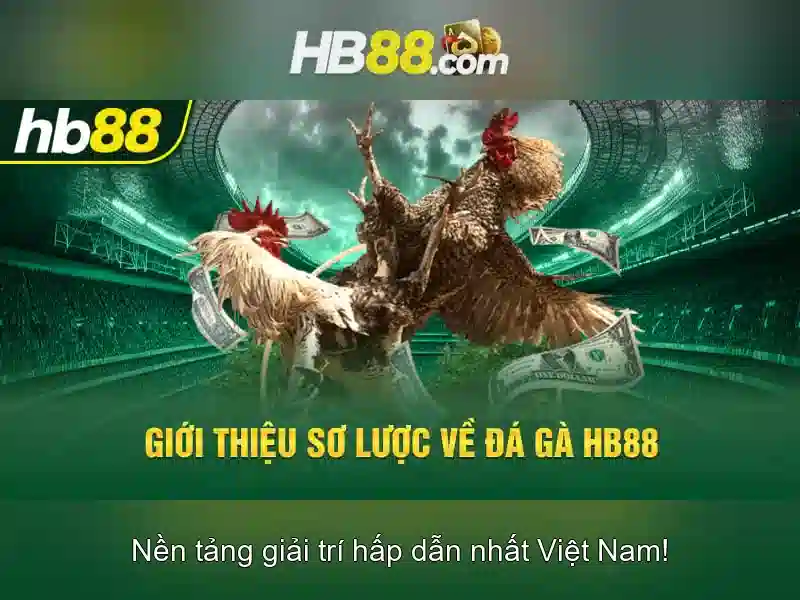 https://clustercarat.com/images/text/hb88/hb88-text260331583.webp
