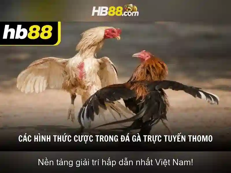 https://clustercarat.com/images/text/hb88/hb88-text2603316260.webp