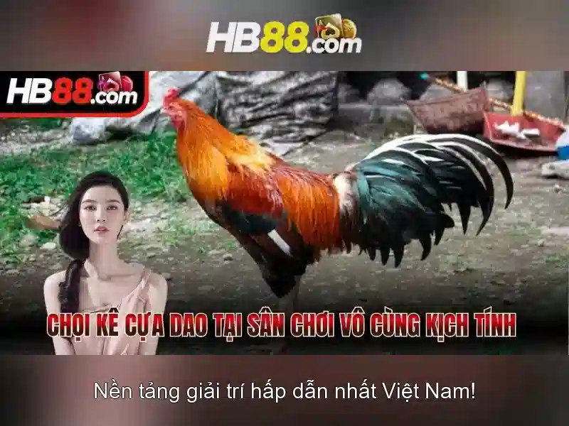 https://clustercarat.com/images/text/hb88/hb88-text2603316961.webp