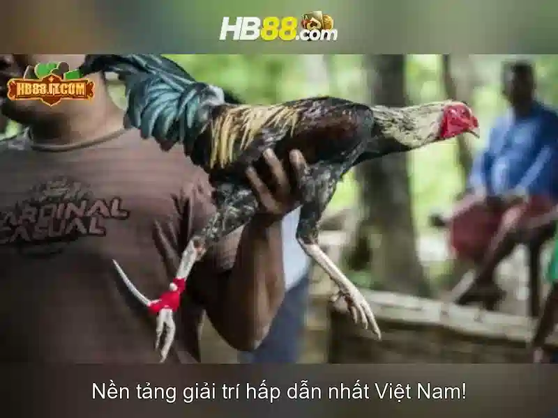 https://clustercarat.com/images/text/hb88/hb88-text2603317150.webp