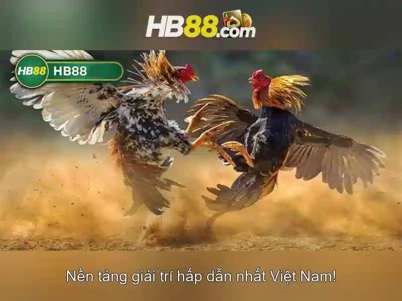 https://clustercarat.com/images/text/hb88/hb88-text2603317179.webp