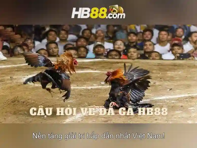 123b_com tai app | Link Vào Trang Chủ Nhà Cái Cá Cược 123b_com ... 123b_com tai app | Link Vào Trang Chủ Nhà Cái Cá Cược 123b_com ...