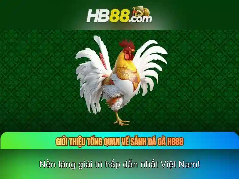 HB88: Nền tảng giải trí trực tuyến và đánh giá tổng quan