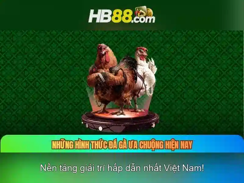 https://clustercarat.com/images/text/hb88/hb88-text2603317188.webp
