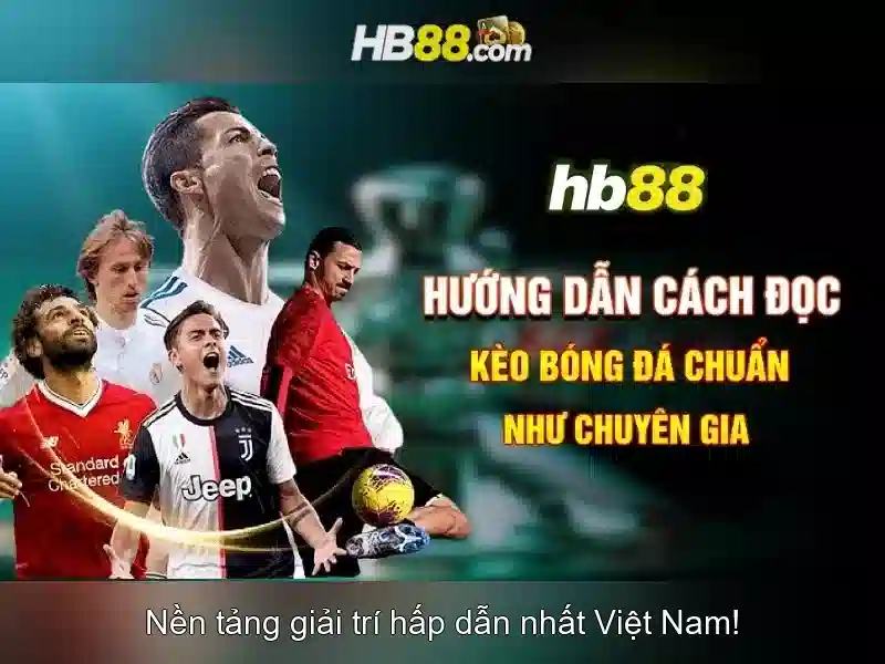 https://clustercarat.com/images/text/hb88/hb88-text260331990.webp